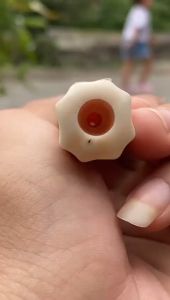 Pipa Gading Lokal Blimbing Panjang 12cm Bahan AS Tengah Asli