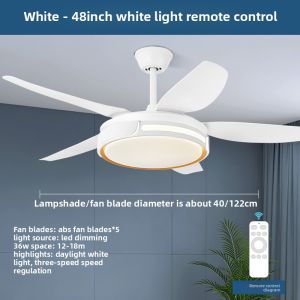 Chigo | Quiet 3D Advanced Ceiling Fan Light
