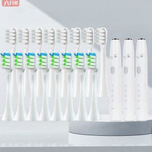 Soft Bristle Electric Toothbrush Head Replacement for Philips Sonicare And Oral-B Compatible with Lianfu QZ1301B