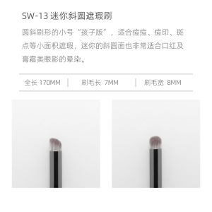 Space Walk Concealer Brush Star Pocket Tear Ditch Pimple Mark Makeup Brush Long Handle Chinese Production Any Skin Type