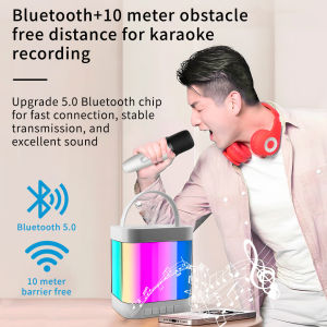 TWS Wireless and Bluetooth Speakers With Mic Outdoor camping Portable Speakers FM Radio portable karaoke with mic new audio system with microphone Bluetooth speaker for family gatherings