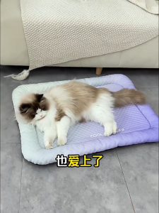 【🔥🔥SG SPOT】4-Layer Cooling Pet Bed Orthopedic Neck Support Non-Slip Design for Cats/Dogs Heat Dissipation