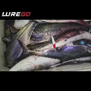 1PC Deep Sea Slow-Sinking Minnow Lure - 19g/ 27g Weight Options - Long Cast Hard Bait for Spanish Mackerel/ Barracuda