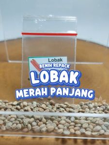 Benih Lobak Merah Panjang Unggulan Berkualitas bibit biji repack sayur sayuran acar hydroponik hidroponik