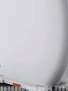 Universal Thick Slow Closing Toilet Seat