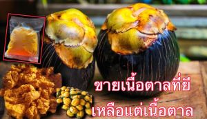 ขายเนื้อตาลยีราคาส่ง คุณภาพดีเยี่ยมเกินราคา ถุงละ 1 กิโลกรัม กิโลละ100บาทตาลแท้และใหม่ 100% สด สะอาด สนใจสั่งได้นะจ้า