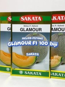 Benih Unggul Melon Jingga Jepang Glamour F1 100 biji Sakata