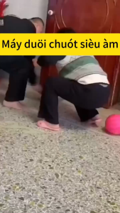 🐭100 năm không có chuột👍máy đuổi chuột siêu âm đuổi chuột gián muỗi côn trùng Phạm vi sử dụng hiệu quả nhất lên đến 10000 mét vuông Thiết bị đuổi chuột thông minh máy đuổi chuột vĩnh viễn