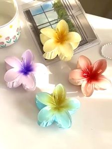 Set 5 kẹp tóc hoa sứ nhiều mầu thời trang cá tính trẻ trung dành cho nữ