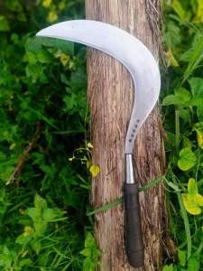 Sabit rumput madura kwlitas premium