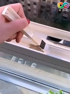 Rainbeau 2 in 1 ที่ปัดฝุ่นคีย์บอร์ด แปรงทำความสะอาดคีย์บอร์ด พร้อมที่โกย แปรงทำความสะอาด ทำความสะอาดคีย์บอร์ด ทำความสะอาดซอกหน้าต่าง