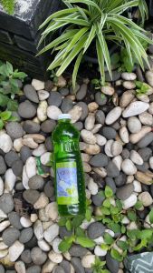 Pembersih Lantai Toppas 500 ml: Solusi Pembersihan Rumah Tangga