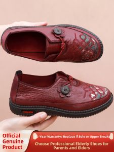 CHUNZULI | Comfortable Elderly Shoes with Embroidery