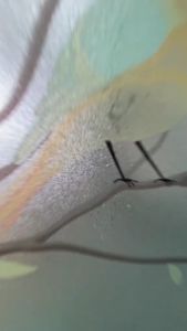 ฟิล์มฝ้าติดกระจกแบบสุญญากาศ ขนาด 120X200 เซน ฟิล์มสุญญากาศติดกระจกบ้าน  ลายฝ้าขุ่น  เพิ่มความเป็นส่วนตัว