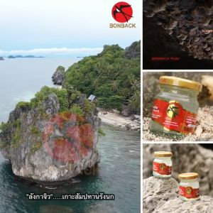 บอนแบค เครื่องดื่มรังนกแท้สำเร็จรูป 2 แพ็ค(สูตรโสม) แถมฟรี 1 แพ็ค (สูตรคอลลาเจนปราศจากน้ำตาล)