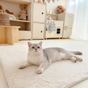 2024 New Thickened Rabbit Fur Carpet Bedroom Living Room Tea Table Blanket Bedside Master Bedroom Floating Window Plush Floor Mat