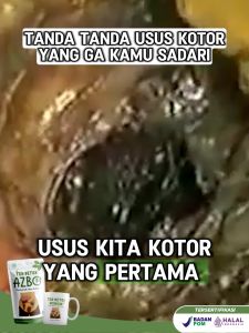 AZBO Teh Detox Atasi Sembelit Detox Usus Kotor BAB Lega - Isi 2 Pcs Gratis Gula Aren