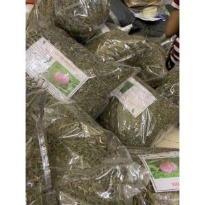 Cây xấu hổ khô