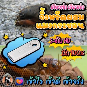 ((( ใ ห ม่ ))) เสียงต่อ/ล่อแมงกระชอน+จิ้งหรีด ((( ยาวสะใจ 10 ชั่วโมง ))) ใส่แฟลชไดร์ฟ เสียงชัดHD/ดัง/ใส ไม่มีโฆษณาแทรก พร้อมส่ง! มีเก็บเงินปลายทาง!!!