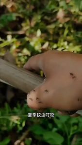 Đèn Bắt Muỗi Đèn ngủ sử dụng công nghê cao Máy Bắt Muỗi Thông Minh 2in1 dùng pin sạc USB tích điện 1200mAh