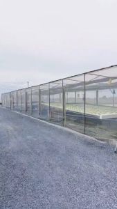 สแลนด์สีดำ พรางแสงUV50% หน้ากว้าง 1.5 x 5 เมตร/ผืน