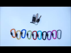 5Pc Keychain Heavy Duty D-Shaped Aluminum Alloy Backpack Buckle With Lock Keychain Backpack Clip Hook for Camping Hiking Connect Tents&Ropes(Only Fix Items Not for Rock Climbing)