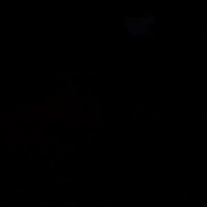 NEW STYLE Jas Hujan Sepatu Cover Anti LAir Cover Sepatu Waterproof Anti Licin Karet Bergerigi Anti Slip O11