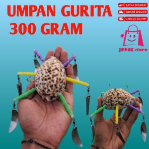 UMPAN GURITA umpan gurita paling gacor dari kuwuk pilihan cypraea tigeris