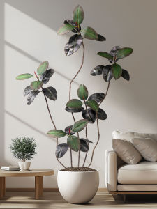 Large Black Diamond Rubber Tree Artificial Green Plant Luxury Premium Floor Standing Bionic Fake Tree Living Room Decorative Plant