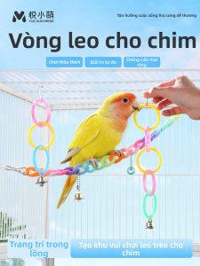 YUEXIAOMENG | Climbing Swing Parrot Toy Decor