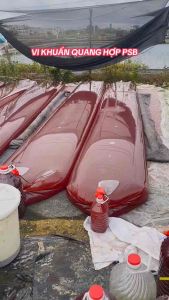 Bộ tự ủ men vi sinh PSB( men thúi_RHDODO) tại nhà 5L - 20L