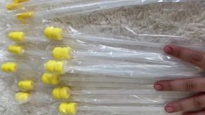 100pcs Foam tip Catheter w/ end cap for Sows/Gilts (pig) 100pcs HappyVet a.i artificial insemination