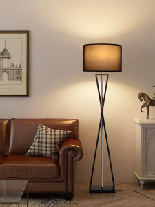 DGY | High-end Designer Living Room Corner Floor Lamp