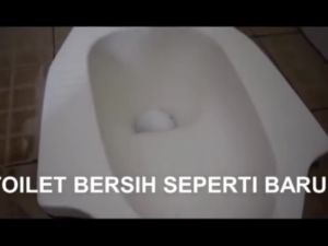 Pembersih Keramik Dan toilet Zen porselen