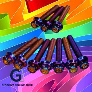 HENG Inner Crankcase Cover Bolt Set of 10 Pieces for Motorcycle Modification. Silver bolts with decorative heads displayed against a colorful abstract background.