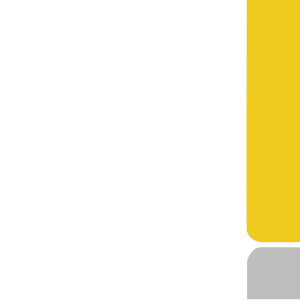 Beauty Bee Philippines Cedarwood Essential Oil – Deep Calm Clear Skin & Grounding via PureExtract™