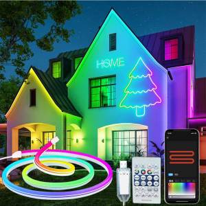 RGBIC Neon Strip Light Bluetooth Neon Led Strip Lights Smart 1M 2M 3M 5M Waterproof RGBIC Flex Ribbon Led Tape Music Sync