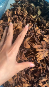 100 gr trà Hoa sứ- Bông sứ (hoa đại) loại hoa trắng nhụy vàng bông nhỏ hàng tự nhiên (bông khô hàng sạch thơm mới)