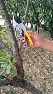Ratcher Pruning Shears Scissors Gunting Taman Dahan Ranting Taman Bonsai Pruning Shears Sk5 Bunga Peralatan Berkebun / Alat Potong Dahan Garden Scissors- KUNING