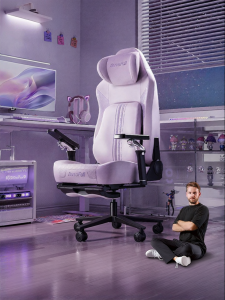 Ergonomic Computer Gaming Chair