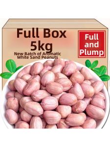 Fresh Selected Large Peanuts 5 JIN