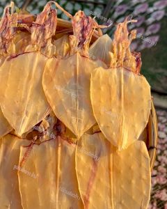 ปลาหมึกแห้ง หนังแก้ว หมึกหนังไดร์ คละไซส์ 2-4 นิ้ว (เจ๊เปลวหมึกแซ่บ)