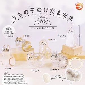 Transparent Cat Hair Storage Box Toy Egg Decoration BRIGHT LINK Cat Fur Organizer PVC Material Available Now for Ages 3+