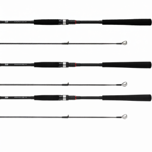 Daiwa | Sea Fishing Long Casting Lure Rod