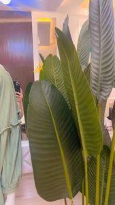 K-ASHION Tunik Set Amara Polos Terbaru Bahan Knit Premium Jumbo Setcel Wanita Terlaris