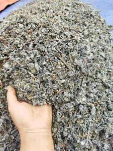 1Kg Chè dây Lai Châu (vụ mới khô thơm) hỗ trợ viêm loét dạ dày tá tràng HP