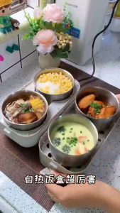 SG-Stock Portable Electric Lunch Box 2L With Double Layer 4 Bowls Rice Steaming Food Heating & Heat Preservation UK Plug