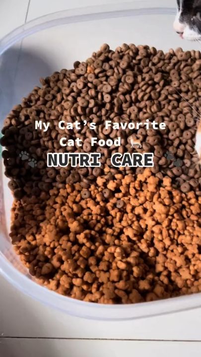 1kg Organic Cat Dry Salmon Tuna Food All Stages Adult Kitten Nutri Care ...