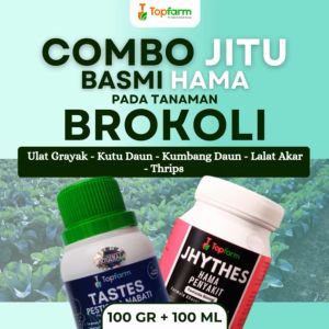Insektisida Topfarm: Solusi Terbaik untuk Mengendalikan Hama Brokoli