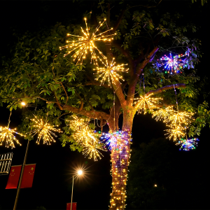 DIANJIA | Waterproof Outdoor Decorative LED Light String